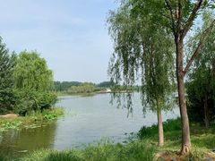 -东郊湿地公园