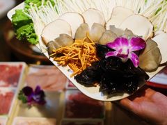 -南门四季铜锅涮肉(左家庄店)