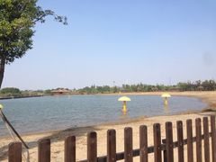 iphone_upload_pic-梁鸿国家湿地公园