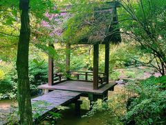 -杭州半山国家森林公园