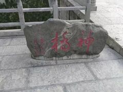 -赵州桥景区