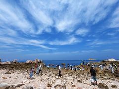 -养马岛旅游度假区