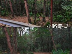 -虞山风景区