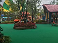 -苏州乐园森林水世界