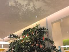 -Aqua Oasis 水天堂(太湖中心mall店)