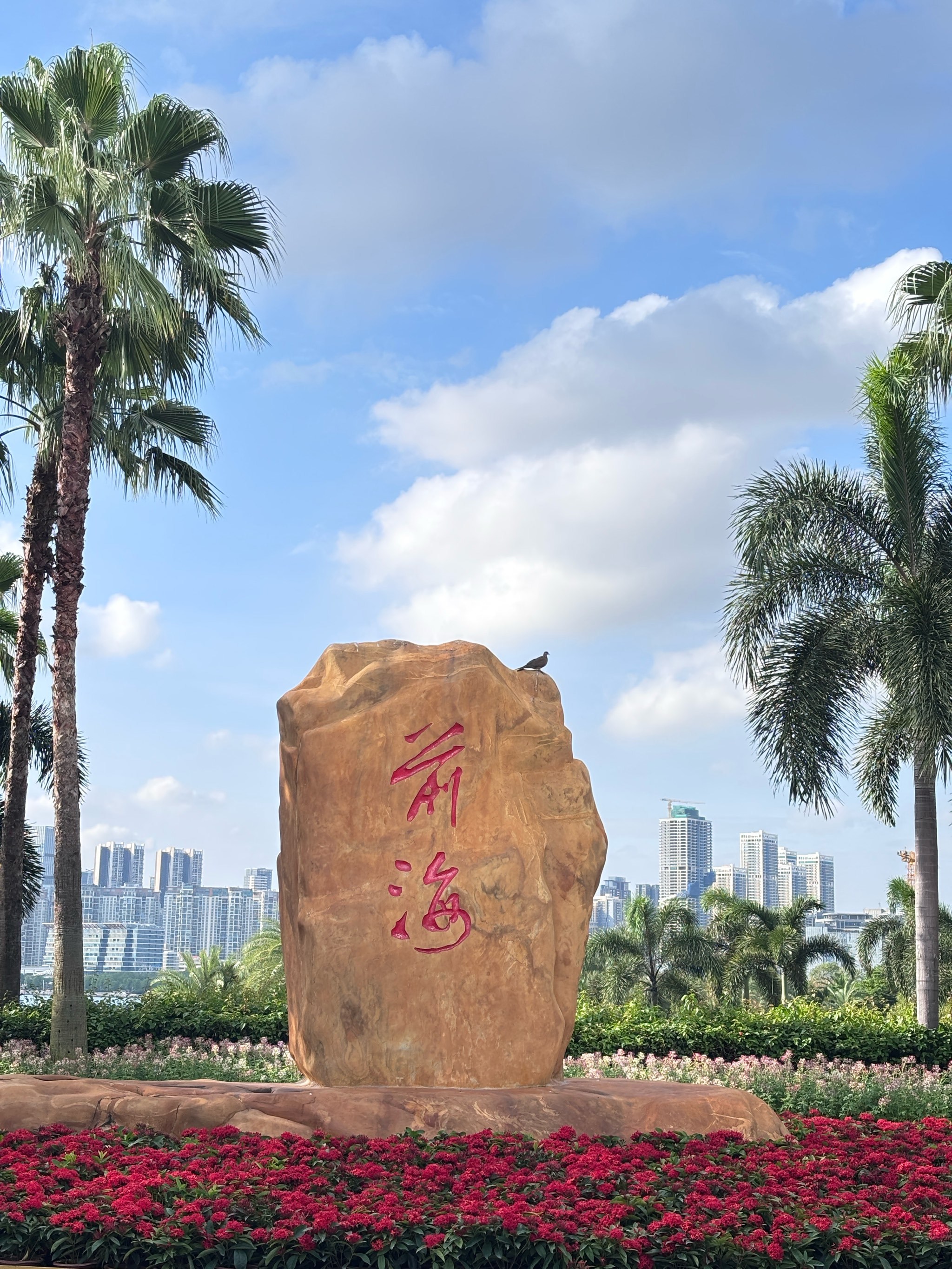 打卡前海石公园➕欢乐港湾摩天轮🎡