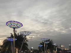 -南宁南湖公园