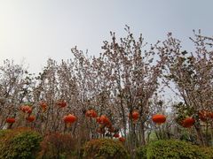 -PAULANER普拉那德国啤酒花园(千玺广场店)