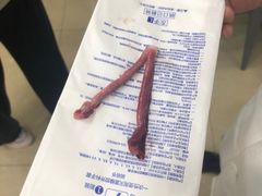 -小伙伴宠物医院•急重症转诊中心·老年专科·犬猫全科(北大街总院)