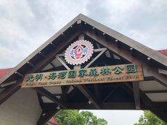 -上海海湾国家森林公园