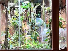 -帕帕拉兹宠物(亚洲旗舰店)