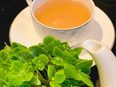 -行者书屋大堂吧 ·下午茶(南京圣和府邸酒店)