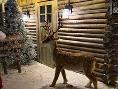 -HERRE·FARM 赫尔露营农场·团建聚会包场