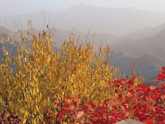 -大岭沟猕猴桃谷风景区