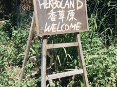 -南丫岛