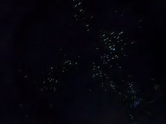 -怀托摩萤火虫洞