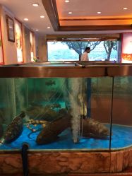 -惠食佳·宴会厅(滨江西路店)