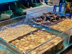 -九月海·海鲜自助(世纪东方店)