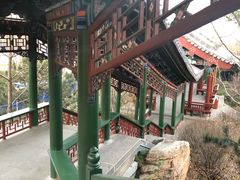-迎泽公园