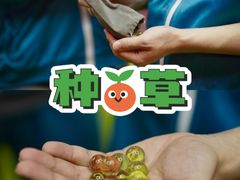 -沉浸北京·团建旅行·密室剧本杀·年会会议轰趴拓展