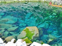 -叠溪松坪沟景区