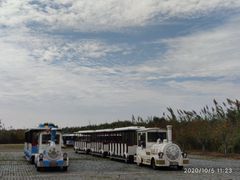 -泗洪洪泽湖湿地景区