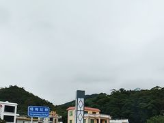 -杨梅坑
