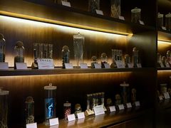 -新偶像健康汇•水疗SPA•豪华自助餐(世界城店)