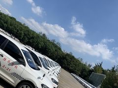 -胜华驾校·小猫学车(银都店)
