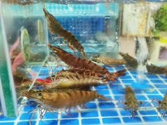 -渔人湾码头海鲜市场负二楼