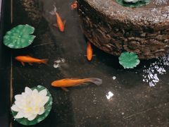 -杭州东站汇和君亭酒店
