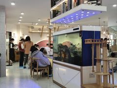 -喵园·猫主题咖啡厅·撸猫·猫咖(国贸店)