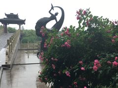-东湖落雁景区
