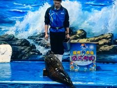 -左海海底世界