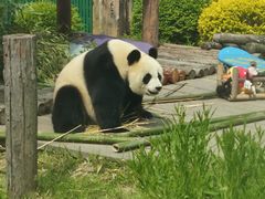 -大连森林动物园