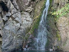 -宁波五龙潭景区