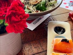 -TOMATITO(无限极荟店)