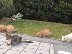 -东华大学第一食堂(松江校区店)