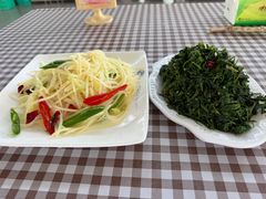-特种渔场