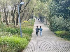 -西湖风景区-江洋畈生态公园