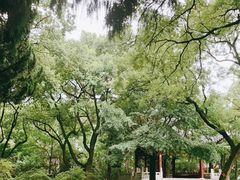 -汇龙潭