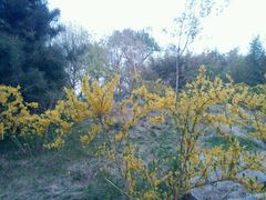 android_upload_pic-紫竹院公园冰场