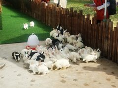 -南戴河国际娱乐中心