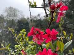 -樱桃山旅游景区