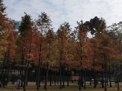 -晓港公园