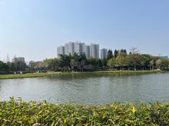-映月湖公园