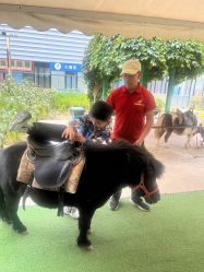 -萌宠亲子动物乐园(槐房万达店)