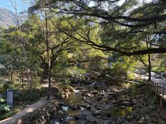 -广州市石门国家森林公园