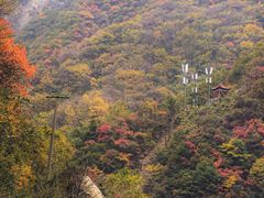 -秦岭风景区