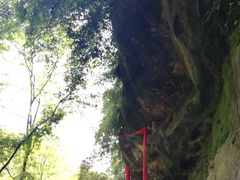 -川西竹海景区